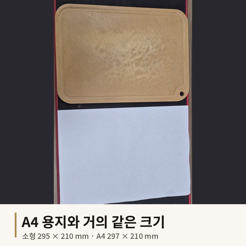 지비리브 NRW 도마