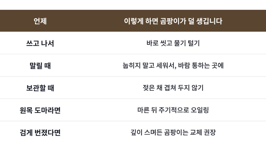 지비리브 NRW 도마